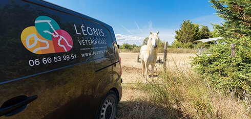 Rendez-vous à domicile